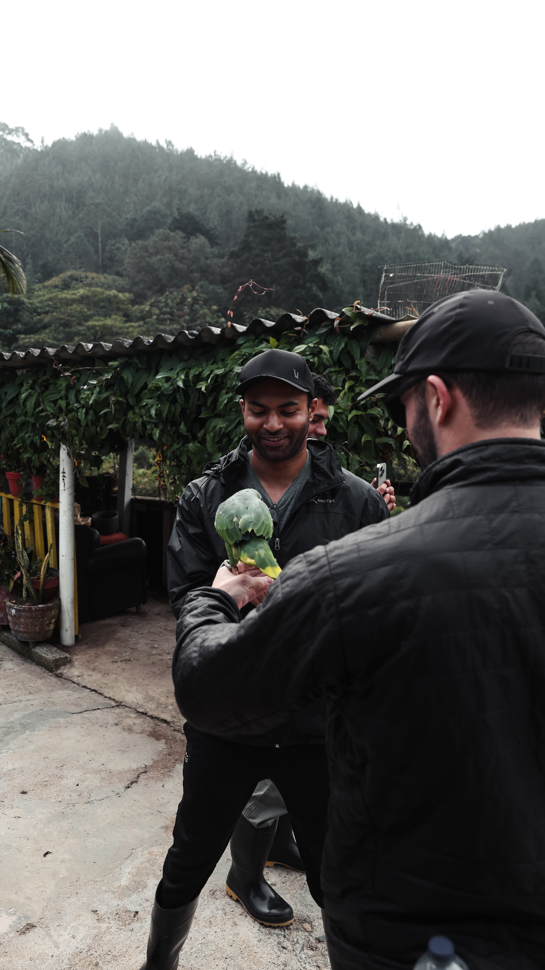Two men handling a green parrot on a misty hillside farm